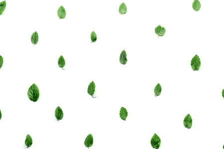 Pattern with leaves and petals, isolated on white background. Flat, top view