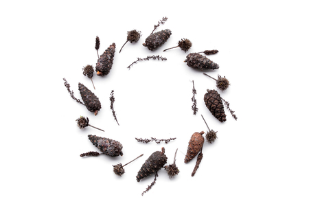 Frame made of cones isolated on white background. flat design, top view. New Year, christmas background.の写真素材