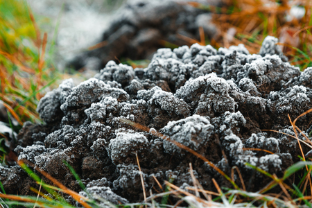 Texture of Ice frost crystals forming on the surface during winter timeの写真素材