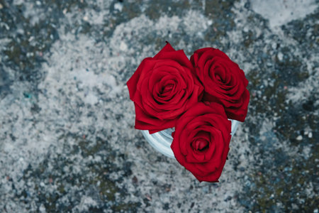 Red roses bouquet on white backgroundの写真素材