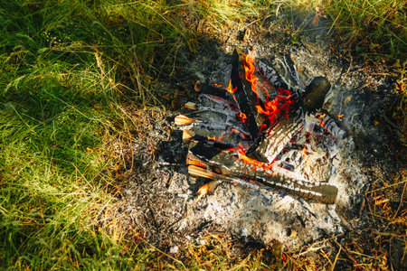 Bonfire in the forest.の写真素材