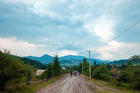 Mountain, beautiful landscape. Ukraine, the Carpathian Mountains. Concept of travel, tourism, holidays, vacation.の写真素材