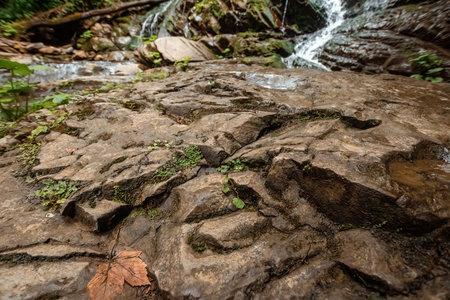 the cascade of a cold river waterfall falls on stones, cascades on a mountain river. The concept of...
