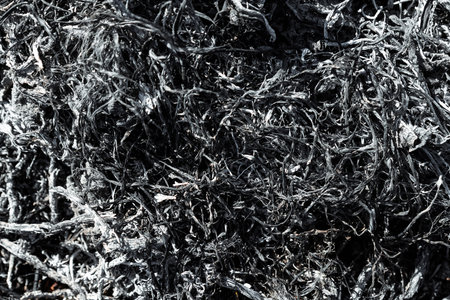 Gray background ashes, burned plants, abstract texture of coals and ashes. Macro shot