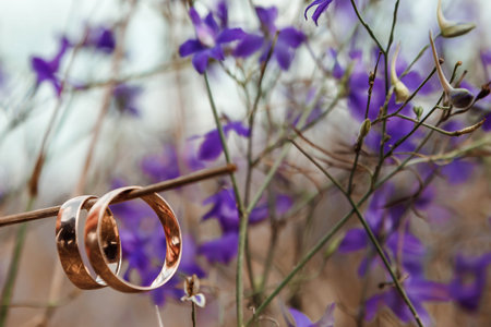 wedding rings on a branch .The concept of marriage, family relationships, wedding paraphernalia.