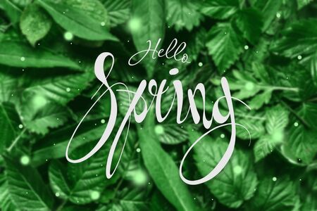 Handwritten inscription hello spring. Spring floral natural background. Copy spaceの写真素材