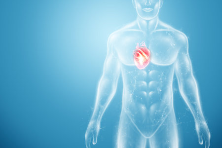 Hologram of the heart in the human body, heart disease. health care of the future. Modern medical...