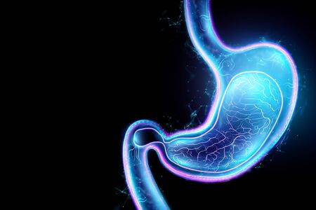 Hologram of the stomach, endoscopy procedure. Digestive tract and stomach disease concept. 3D rendering, 3D illustrationの写真素材