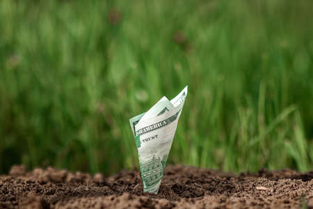 American dollars grow out of the ground like plants against a backdrop of greenery. The concept of investment, passive income, interest, stocks, dividends. Copy spaceの写真素材