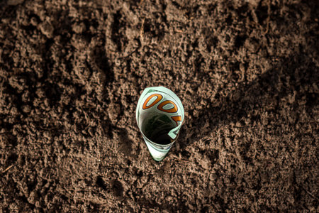 Investment proceeds, Money grows, soils growing in soil. Top view. Concept Deposit, passive income,...