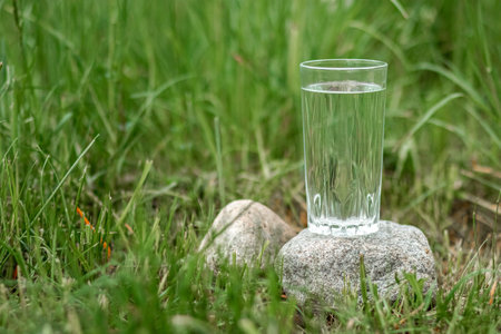 A glass of clean water on a background of greenery. The concept of natural products, no...