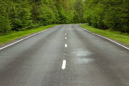 Beautiful summer landscape green forest and road in the forest