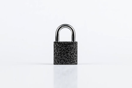 Padlock dark isolated on a white background