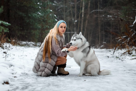 A beautiful young girl of blonde European appearance plays with a Siberian husky in the winter...