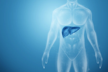 A hologram of the liver in the human body. Concept for technology, hepatitis treatment, donation, online diagnostics. 3D rendering, 3D illustrationの写真素材