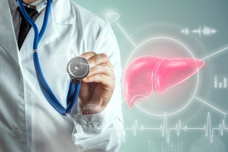 Doctor and Liver Hologram, liver pain and vital signs. Concept for technology, hepatitis treatment, donation, online diagnosticsの写真素材