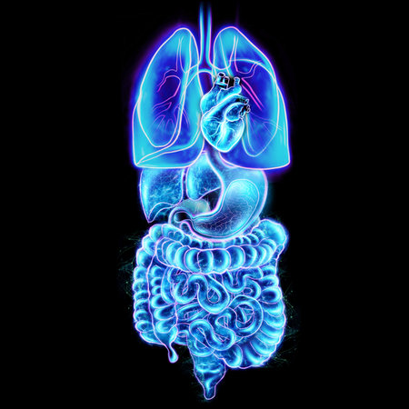 Human internal organs scan holographic projection isolated on black background. The concept of...