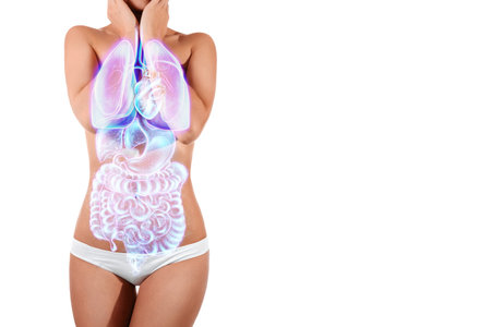 A hologram of human internal organs and the body of a beautiful young girl. Internal organs scan, abdominal ultrasound, complete medical examination, MRIの写真素材