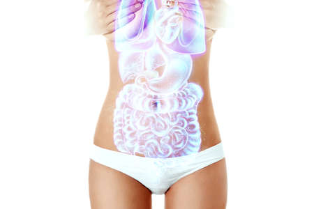 A hologram of human internal organs and the body of a beautiful young girl. Internal organs scan, abdominal ultrasound, complete medical examination, MRIの写真素材