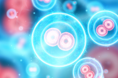 cell division under a microscope. 3d illustration, 3D rendering.