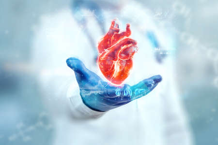 The doctor looks at the Heart hologram, checks the test result on the virtual interface, and analyzes the data. Heart disease, myocardial infarction, innovative technologies, medicine of the futureの写真素材