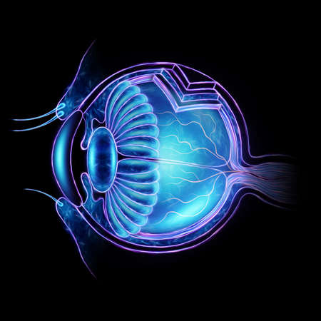 Realistic human eye hologram, cross sectional cut, isolate side view on black background. Healthcare concept, vision, catheract, ostegmatism, laser eye surgery. 3D illustration, 3D render.の写真素材