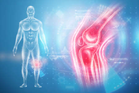 X-ray of a sore knee, hologram of joints, structure of the knee. X-ray image, trauma, rheumatologist consultation, skeletal image, medicine of the future. 3D illustration, 3D renderの写真素材