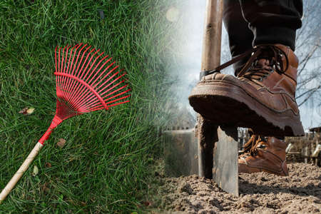 Farmer man working with a shovel in the vegetable garden, close-up. Planting seeds in the ground, beginning of the season, beds. copies the pattern spaceの写真素材