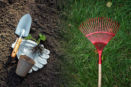 Tools for working in the garden top view, close-up. Plant seeds in the ground, start of the season, garden beds. Copies the pattern spaceの写真素材