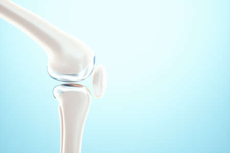 Medical poster image of the bones of the knee, the joint in the knee. Arthritis, inflammation, fracture, cartilage,. Copy space, 3D illustration, 3D renderの写真素材
