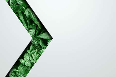 Natural concept, environment and organic products. Green abstract arrow, natural design. Natural design, flyer layout, marketing material, copy spaceの写真素材