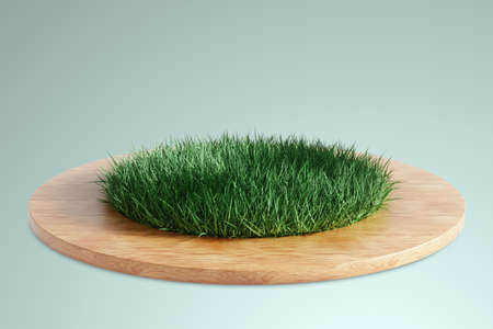 nature concept. Composition of a green lawn on a wooden platform on a light background. Podium for cosmetic products. Natural stand for presentations and exhibitions. 3d rendering, 3D illustrationの写真素材