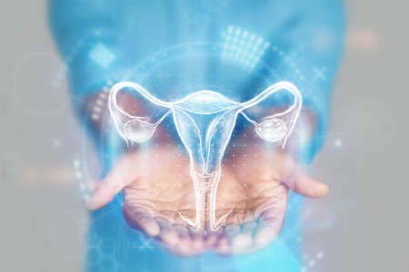 Medical concept, doctor's hands in a blue coat close-up. Ultrasound of the uterus, x-ray, hologram. Medical care, woman anatomy, doctor's appointment, reproductive system. mixed mediaの写真素材