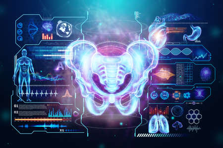 Hologram, ultrasound image, anterior view of the male pelvis, sacrum isolated on a blue background. Anatomy, medicine, scientific concepts. 3D rendering, 3D illustrationの写真素材