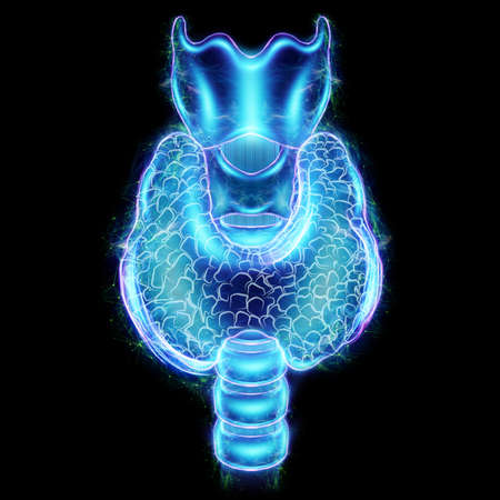 Thyroid gland, ultrasound hologram isolated on black background. Ultrasound diagnostics, thyroid diseases. 3D rendering, 3D illustrationの写真素材