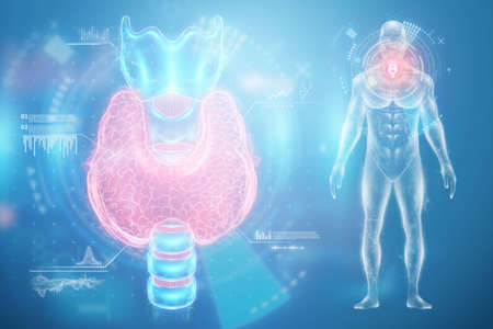 Thyroid gland, hologram on a blue background with medical indicators. Ultrasound diagnostics, thyroid diseases. 3D rendering, 3D illustrationの写真素材