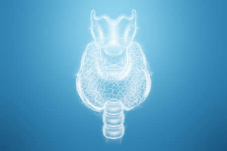 Thyroid gland, hologram on a blue background. Ultrasound diagnostics, thyroid diseases. 3D rendering, 3D illustrationの写真素材