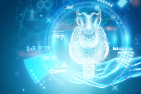 Thyroid gland, hologram on a blue background. Ultrasound diagnostics, thyroid diseases. 3D rendering, 3D illustrationの写真素材