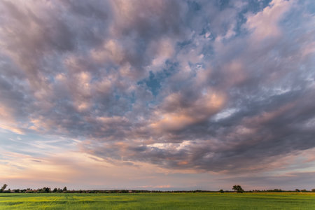 Beautiful sunset, clouds over the green field sunset over the field.の写真素材