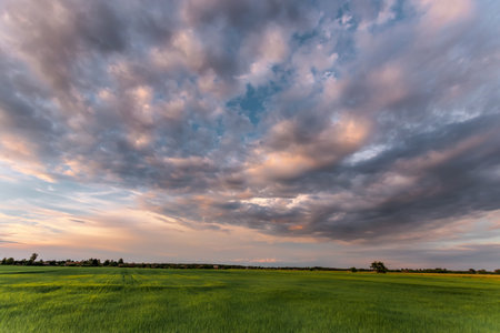 Beautiful sunset, clouds over the green field sunset over the field.の写真素材