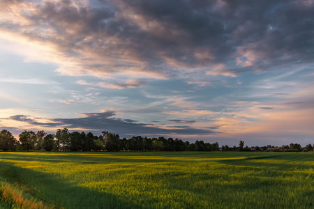 Beautiful sunset, clouds over the green field sunset over the field.の写真素材