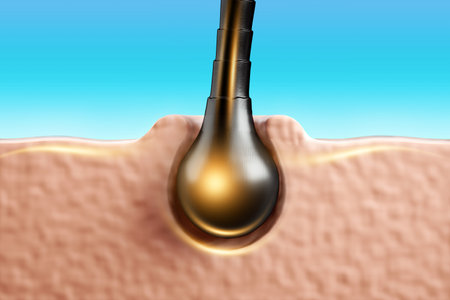 Restoration of damaged hair. Oil for restoring hair health. Human hair follicle close-up. The concept of hair care, hairdressing, spa. 3D illustration, 3D renderingの写真素材