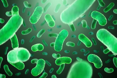 Concept infectious agents, bacteria, bacilli, E. coli, part of the gut microbiome. Magnified image from under the microscope. 3D rendering, 3D illustrationの写真素材
