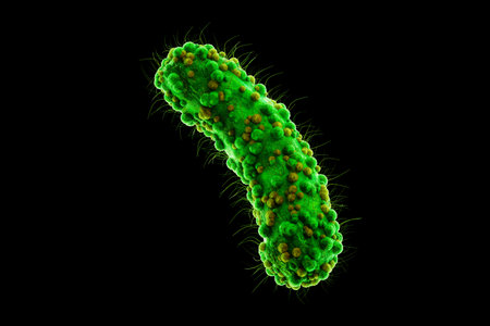 Concept infectious agents, bacteria, bacilli, E. coli, part of the gut microbiome. Magnified image from under the microscope. 3D rendering, 3D illustrationの写真素材
