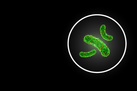 Concept infectious agents, bacteria, bacilli, E. coli, part of the gut microbiome. Magnified image from under the microscope. 3D rendering, 3D illustrationの写真素材