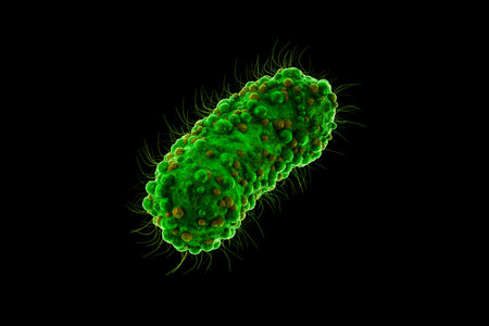 Concept infectious agents, bacteria, bacilli, E. coli, part of the gut microbiome. Magnified image from under the microscope. 3D rendering, 3D illustrationの写真素材