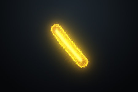 Concept infectious agents, bacteria, bacilli, E. coli, part of the gut microbiome. Magnified image from under the microscope. 3D rendering, 3D illustrationの写真素材