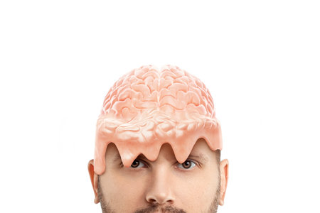 The human brain melts from high stress. Concept fatigue, brainstorming, modern design, magazine style, brain melt. Copy space.の写真素材