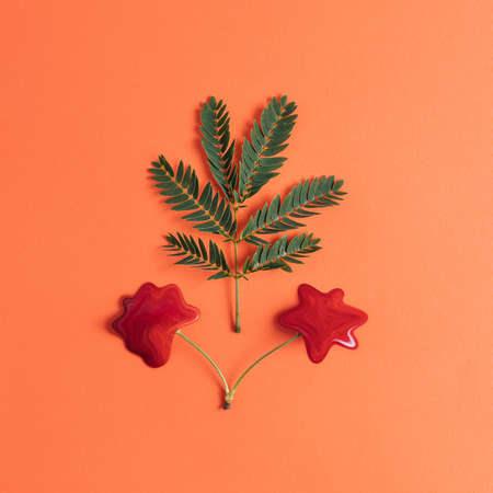 Fern twig with a melted cherry.  Placed flat lay on an orange background. Minimalism.の写真素材