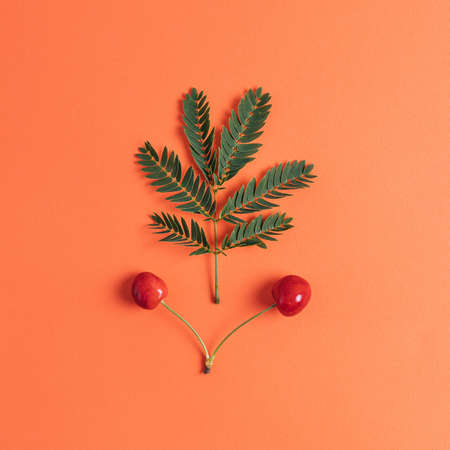 Fern twig with a cherry.  Placed flat lay on an orange background. Minimalism.の写真素材